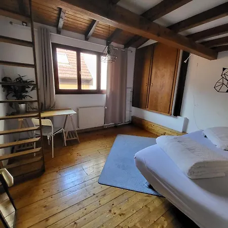 Apartman Cosy Old Schiltigheim